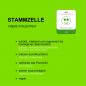 Preview: STAMMZELLE -10%