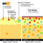 Preview: Cell Repair Wirkweise bei irritierter Haut