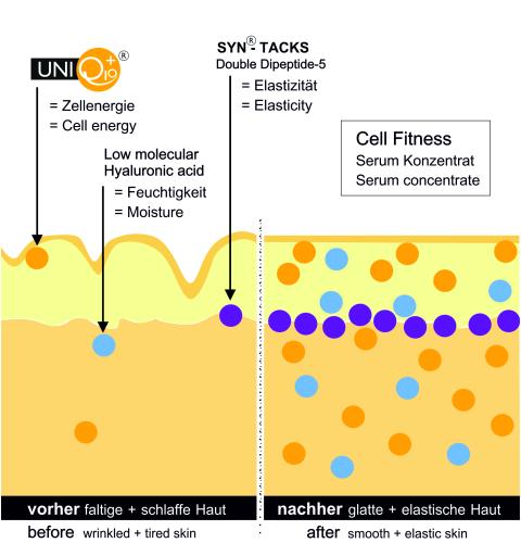 Preview: UNIQ10UE Cell Fitness Serum Wirkprinzip mit Hyaluronsäure und Q10