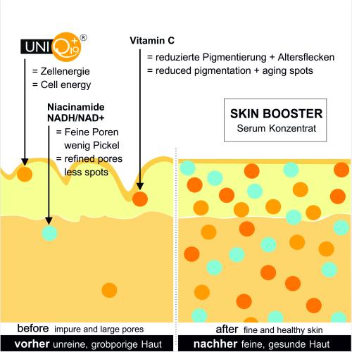 Preview: Skin Booster Wirkweise bei Poren und Pigmentierung