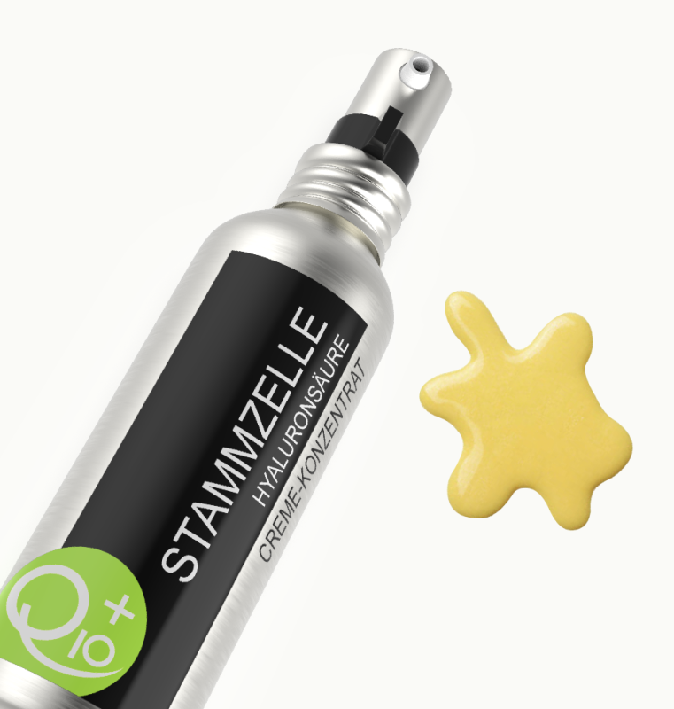 STAMMZELLE -20%