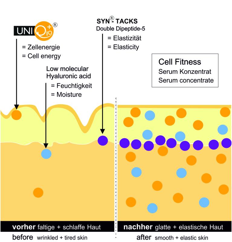 UNIQ10UE Cell Fitness Serum Wirkprinzip mit Hyaluronsäure und Q10