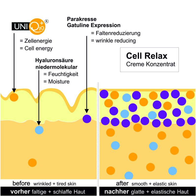 Cell Relax Creme-Konzentrat Wirkweise