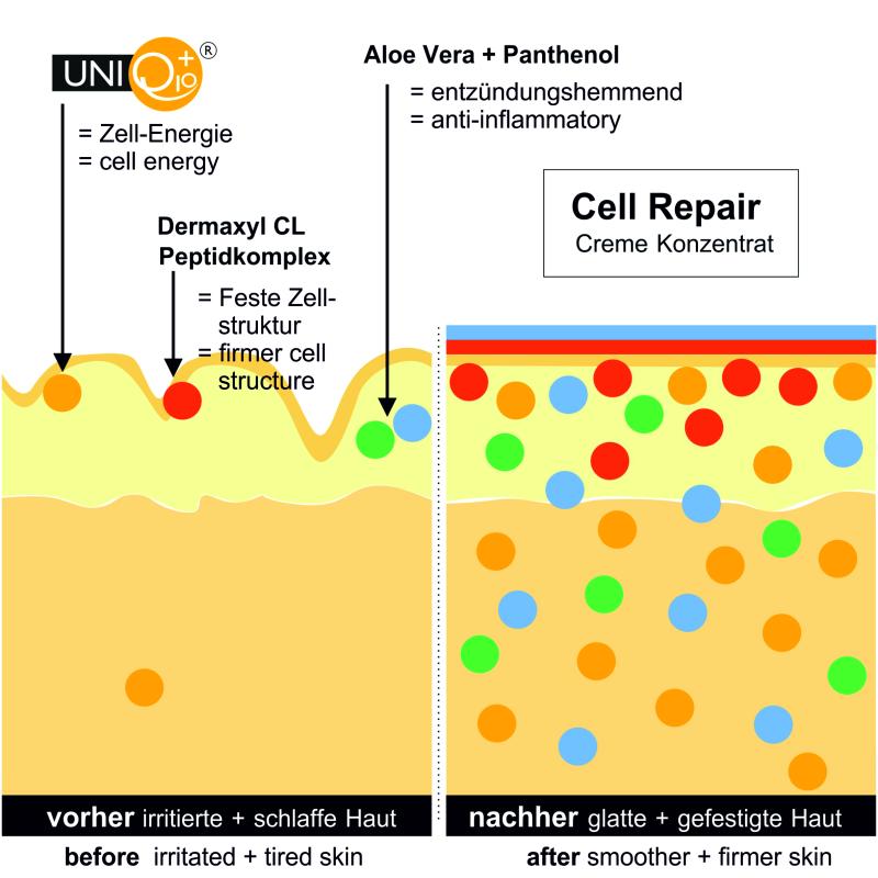 Cell Repair Wirkweise bei irritierter Haut