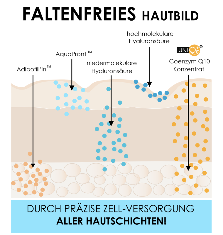 Wirkprinzip des UNIQ10UE Lipo Filler Serum-Konzentrats mit Hyaluronsäure, Q10, AquaPront und Adipofill’in für ein faltenfreieres Hautbild
