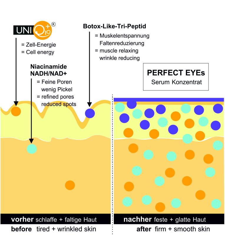 Perfect Eyes Grafik zur Wirkung bei müder Haut