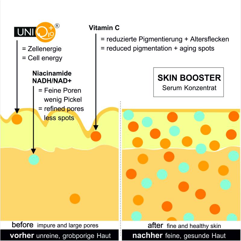 Skin Booster Wirkweise bei Poren und Pigmentierung
